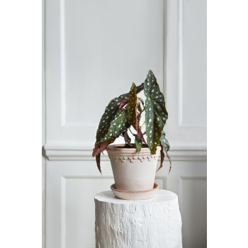 Kruka Köpenhamn Rosa, Bergs Potter - ø18 cm Produktkategori: . Köp hos Byggnadsvardskompaniet.se