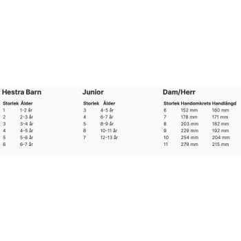 Driver HD Winter Hestra Produktkategori: Handskar. Köp hos Byggnadsvardskompaniet.se