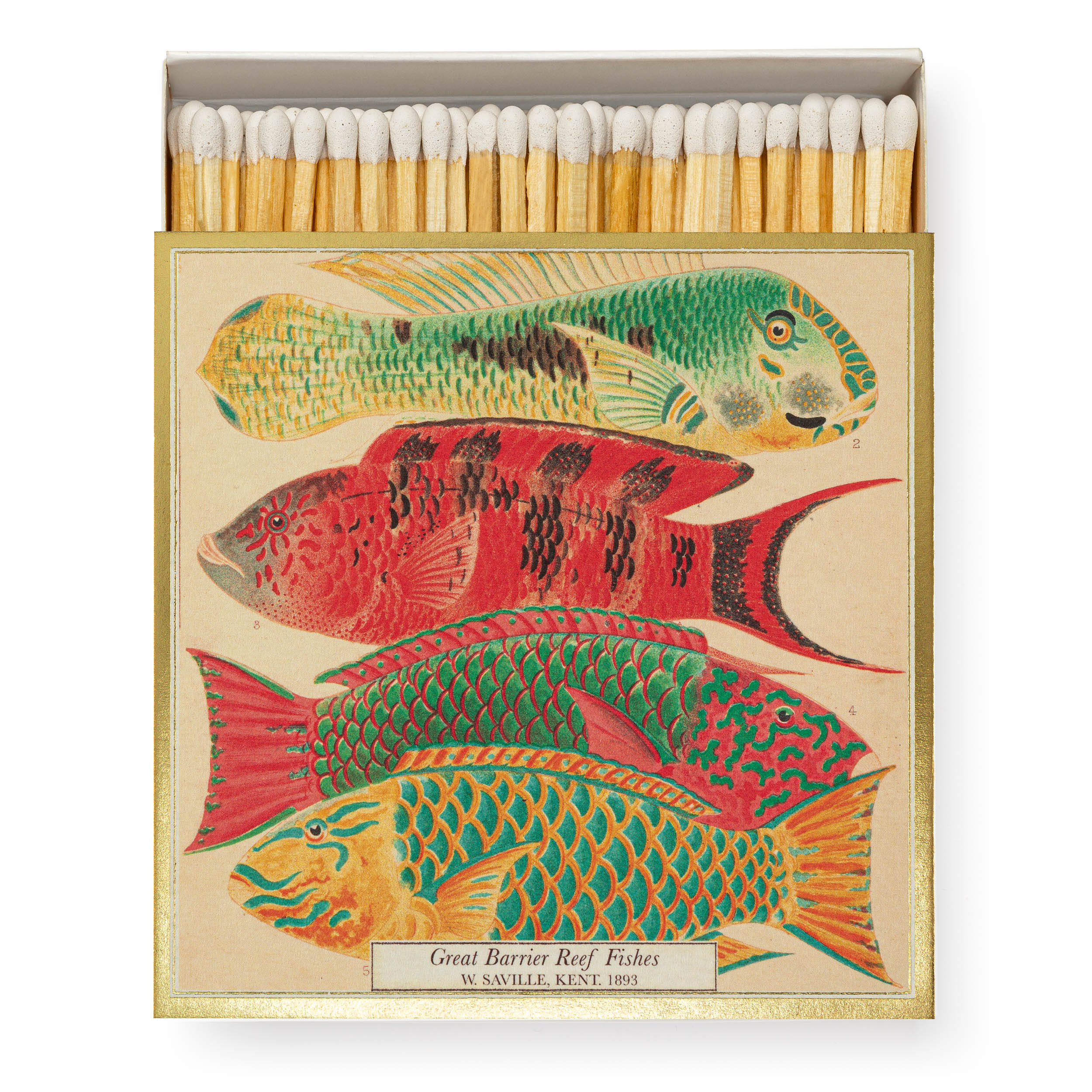 Tändstickor Great Barrier Reef Fishes Produktkategori: Ljus. Köp hos Byggnadsvardskompaniet.se